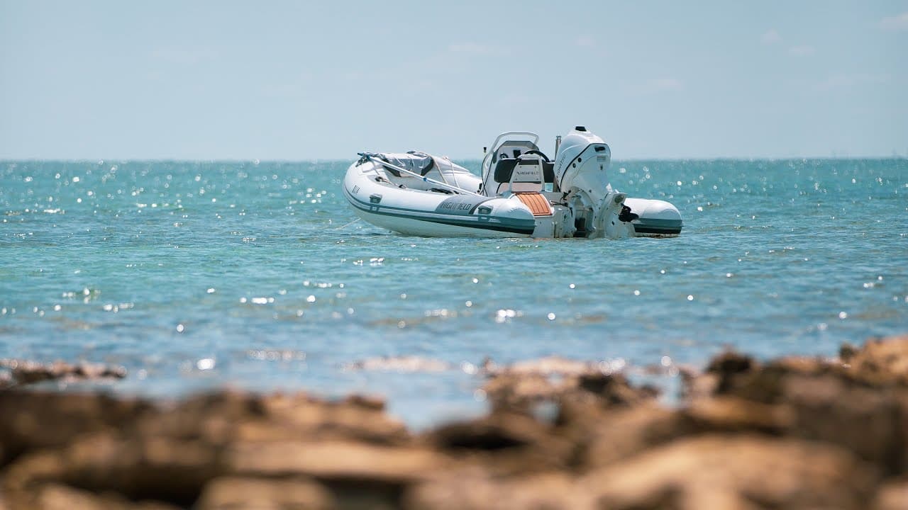 Tohatsu Tohatsu MFS60 60 HP Dıştan Takma Deniz Motoru